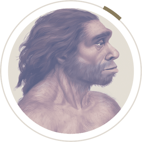an image of a Neanderthal male face